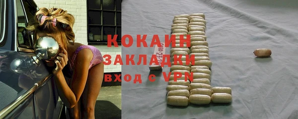 стаф Горняк