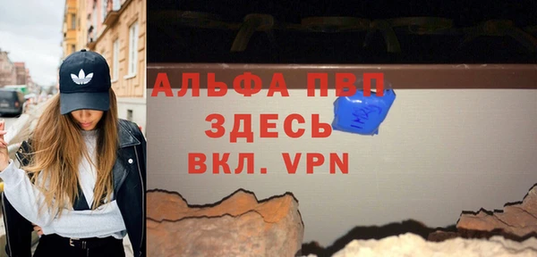 стаф Горняк