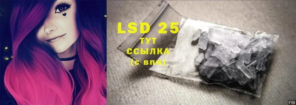 стаф Горняк
