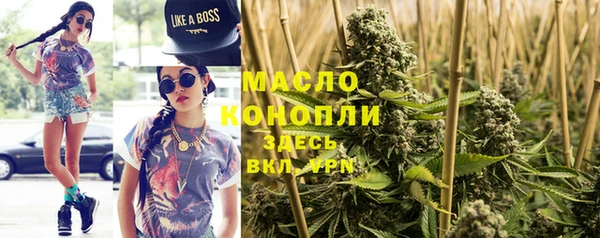 стаф Горняк