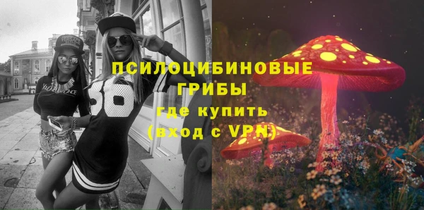 альфа пвп Горнозаводск