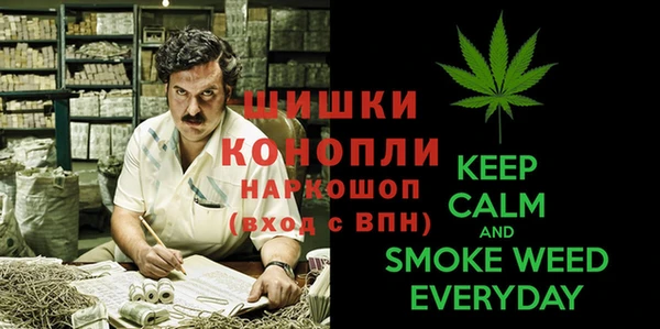 альфа пвп Горнозаводск