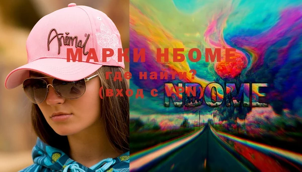 стаф Горняк