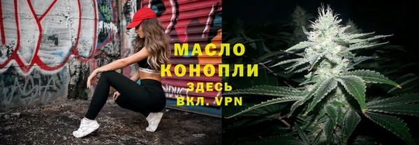 стаф Горняк