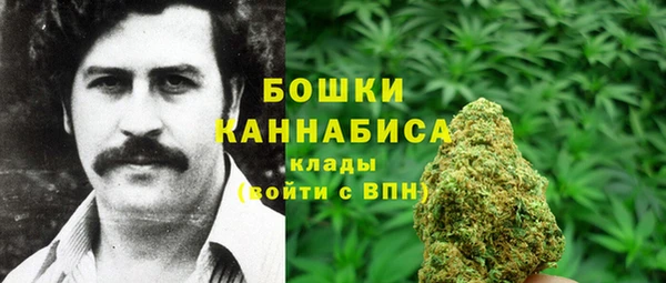 альфа пвп Горнозаводск