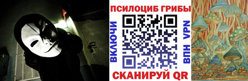 Купить где  Котельники  Псилоцибиновые грибы Cubensis 